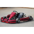 Carreras de 8HP 110cc Go Kart en venta